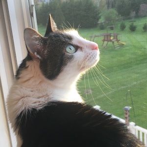 Meet your Posher, Lizzie